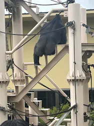 名古屋市東山動植物園に投稿された画像（2026/4/22）