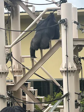 名古屋市東山動植物園に投稿された画像（2026/4/22）