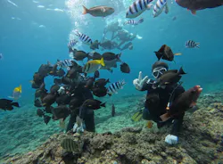 武藤潜水に投稿された画像（2026/4/22）