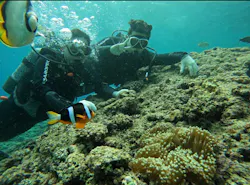 武藤潜水に投稿された画像（2026/4/22）