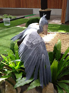 掛川花鳥園に投稿された画像（2026/4/22）