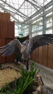掛川花鳥園に投稿された画像（2026/4/22）