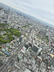 ハルカス300(展望台)に投稿された画像（2026/4/22）