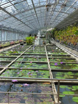 熱川バナナワニ園に投稿された画像（2026/4/22）