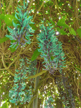 熱川バナナワニ園に投稿された画像（2026/4/22）