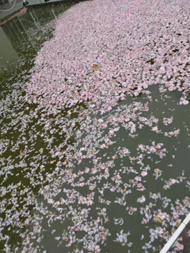 東京国立博物館に投稿された画像（2026/4/22）