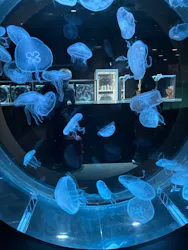 AOAO SAPPOROに投稿された画像（2026/4/22）