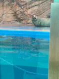 ゼロ距離水族館 伊勢シーパラダイスに投稿された画像（2026/4/22）