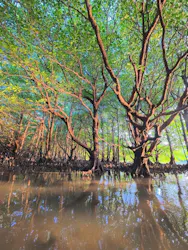 石垣島 ADVENTURE PiPi（イシガキジマアドベンチャーピピ）に投稿された画像（2026/4/22）