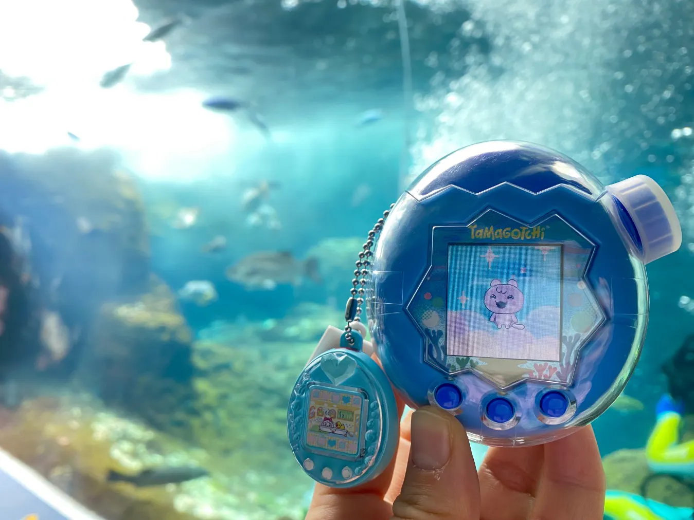 新江ノ島水族館の口コミ ｜たまごっちコラボ楽しかった〜！｜アソビュー！