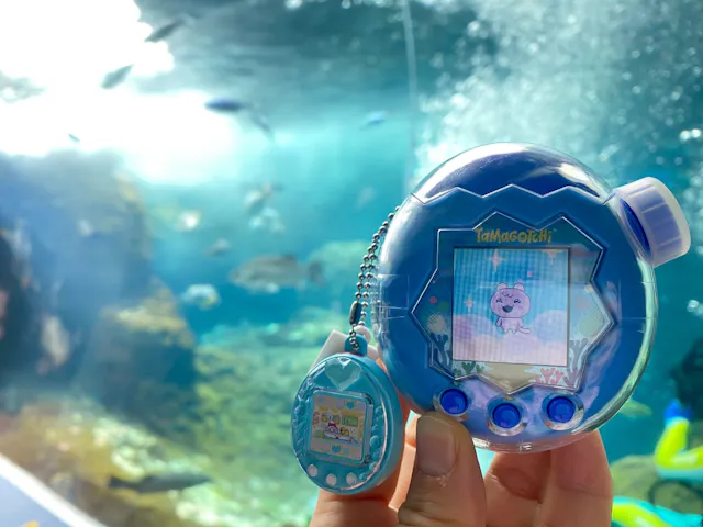 新江ノ島水族館の口コミ ｜たまごっちコラボ楽しかった〜！｜アソビュー！