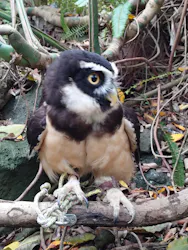 伊豆シャボテン動物公園に投稿された画像（2026/4/22）