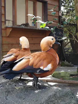 伊豆シャボテン動物公園に投稿された画像（2026/4/22）
