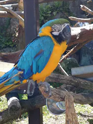 伊豆シャボテン動物公園に投稿された画像（2026/4/22）