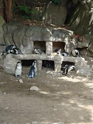 伊豆シャボテン動物公園に投稿された画像（2026/4/22）