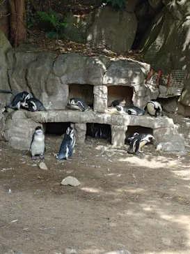 伊豆シャボテン動物公園に投稿された画像（2026/4/22）