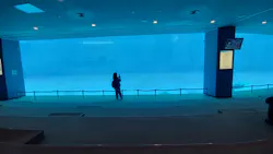 名古屋港水族館に投稿された画像（2026/4/22）