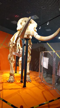特別展「超危険生物展　科学で挑む生き物の本気」に投稿された画像（2026/4/22）