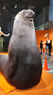 特別展「超危険生物展　科学で挑む生き物の本気」に投稿された画像（2026/4/22）