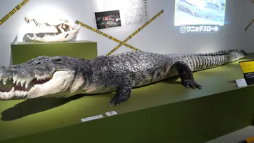 特別展「超危険生物展　科学で挑む生き物の本気」に投稿された画像（2026/4/22）