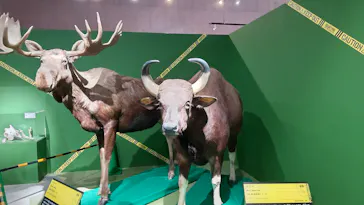 特別展「超危険生物展　科学で挑む生き物の本気」に投稿された画像（2026/4/22）