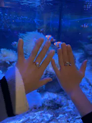 しながわ水族館に投稿された画像（2026/4/22）