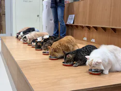 Cat Café MOFF イオンモール熊本店に投稿された画像（2026/4/22）
