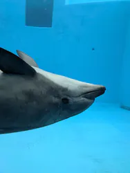 名古屋港水族館に投稿された画像（2026/4/22）