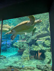 名古屋港水族館に投稿された画像（2026/4/22）