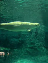 名古屋港水族館に投稿された画像（2026/4/22）