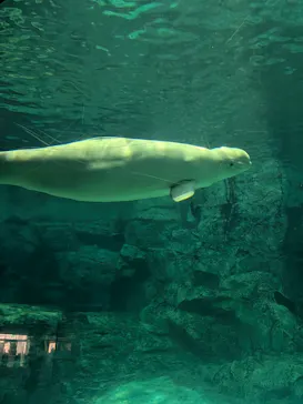 名古屋港水族館に投稿された画像（2026/4/22）