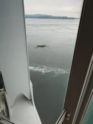 徳島県立 渦の道に投稿された画像（2026/4/22）