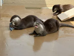 日立市かみね動物園に投稿された画像（2026/4/22）