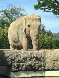 日立市かみね動物園に投稿された画像（2026/4/22）