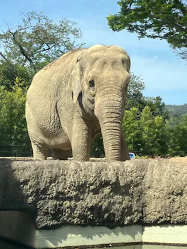 日立市かみね動物園に投稿された画像（2026/4/22）