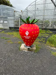 RANRANFARMに投稿された画像（2026/4/22）