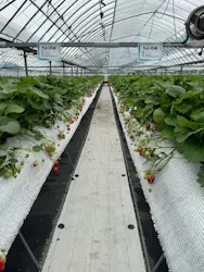 RANRANFARMに投稿された画像（2026/4/22）