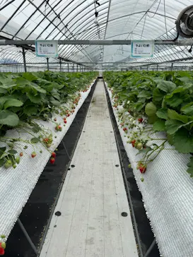 RANRANFARMに投稿された画像（2026/4/22）