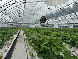 RANRANFARMに投稿された画像（2026/4/22）