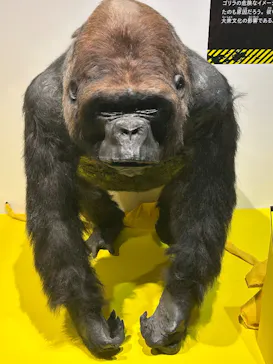 特別展「超危険生物展　科学で挑む生き物の本気」に投稿された画像（2026/4/22）