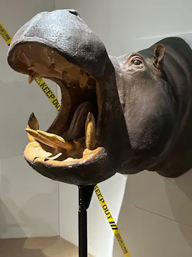 特別展「超危険生物展　科学で挑む生き物の本気」に投稿された画像（2026/4/22）