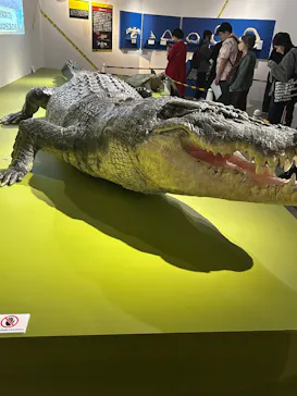 特別展「超危険生物展　科学で挑む生き物の本気」に投稿された画像（2026/4/22）