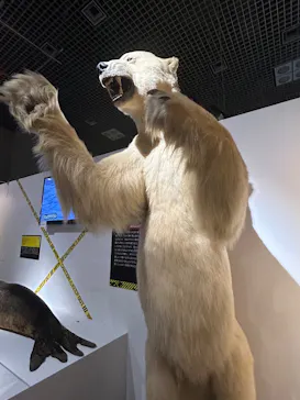 特別展「超危険生物展　科学で挑む生き物の本気」に投稿された画像（2026/4/22）