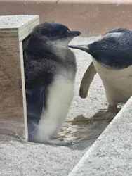 AOAO SAPPOROに投稿された画像（2026/4/22）