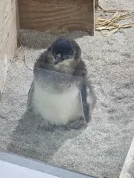 AOAO SAPPOROに投稿された画像（2026/4/22）