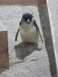 AOAO SAPPOROに投稿された画像（2026/4/22）