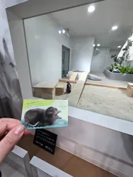 AOAO SAPPOROに投稿された画像（2026/4/22）