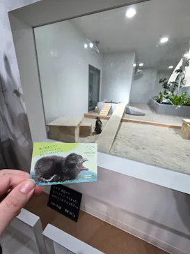 AOAO SAPPOROに投稿された画像（2026/4/22）