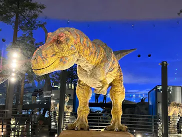 福井県立恐竜博物館に投稿された画像（2026/4/22）