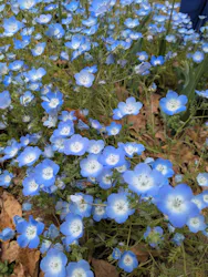 天王寺動物園に投稿された画像（2026/4/22）